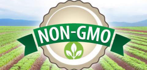 Exploring The Non-GMO Debate