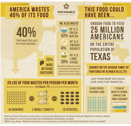 Waste Reduction Info Graphic